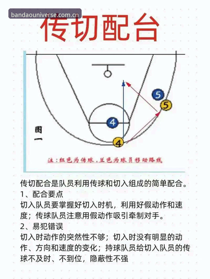 半岛体育综合操作体验完整指南：深度解析与实战技巧
